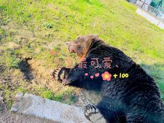 -祥源·阜阳生态乐园