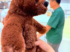 -宜家家居(四元桥商场店)