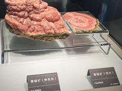 -安徽省地质博物馆