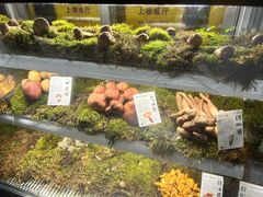 -滇野云南野生菌餐厅(陕西南路店)
