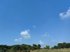 -漕湖湿地公园