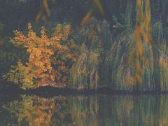 -大兴滨河森林公园