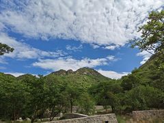 -大岭沟猕猴桃谷风景区