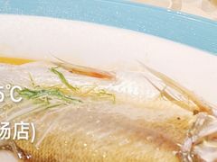 -尚一汤 广东炖汤(金桥国际店)