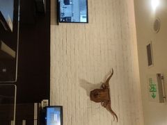 -豪客来牛排(新街口羊皮巷店)