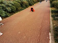 -白鹭湾湿地公园