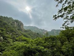 -大岭沟猕猴桃谷风景区