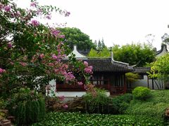 -上海醉白池公园