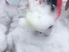 -欢乐水魔方水世界