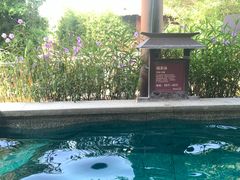-清远熹乐谷温泉度假酒店