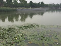iphone_upload_pic-南翔镇银翔湖公园