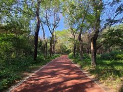 -长春市南湖公园