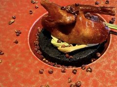 -南堂馆·新川菜(春熙路店)