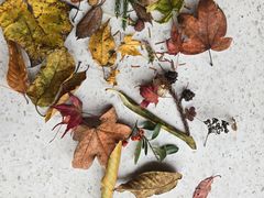 -山王坪喀斯特国家生态公园