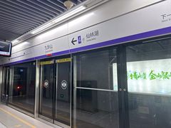 -九华山(地铁站)