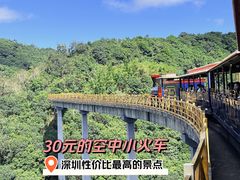 -深圳东部华侨城茵特拉根酒店