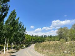 -东郊湿地公园