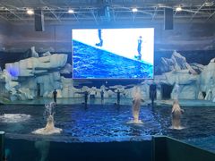 -福州罗源湾海洋世界旅游区