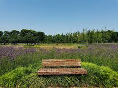-江苏三台山国家森林公园