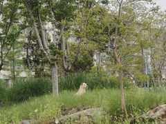 -宁波儿童公园(鄞州区)