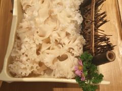-季季山·云南野生菌火锅(上海首店)