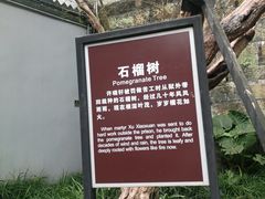 -白公馆
