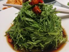 -飞鹿餐饮·陕南菜(北关店)