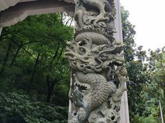 -云碧峰国家森林公园