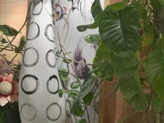 -茶颜悦色(银盆岭万达广场店)