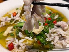 -三猫黑鱼花(南大店)