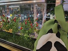 -成都瓜串串(华强北店)