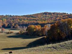 -塞罕坝国家级自然保护区