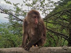 -峨眉山风景名胜区
