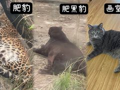 -成都动物园