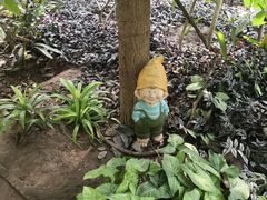 -呀路古热带植物园