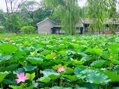 -承德避暑山庄景区