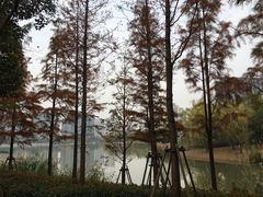 -南翔镇银翔湖公园
