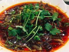 水煮牛肉-广东嘉华大酒店·金銮阁中餐厅