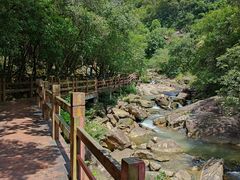 -广州白江湖森林公园