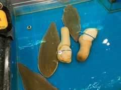 -万宝海鲜舫(劳动公园店)