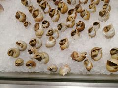 花螺-安徽饭店·白鹭阁自助餐厅(梅山路店)