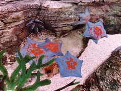 -沈阳海洋探索中心