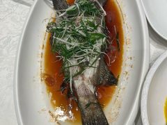 -大东海海鲜酒楼(渔人码头总店)