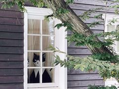 -三鹰之森吉卜力美术馆