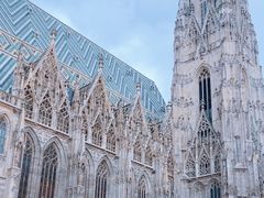 -斯蒂芬主教座堂(Stephansdom)