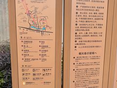-香雪海
