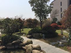 -上海崇明金茂凯悦酒店