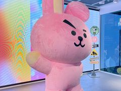 -line friends(明洞旗舰店)