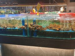 -阿伟海鲜楼·福建菜(延寿店)