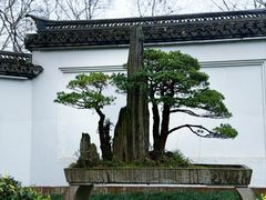 -杭州香格里拉饭店